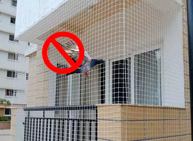 Pigeon Safety Nets